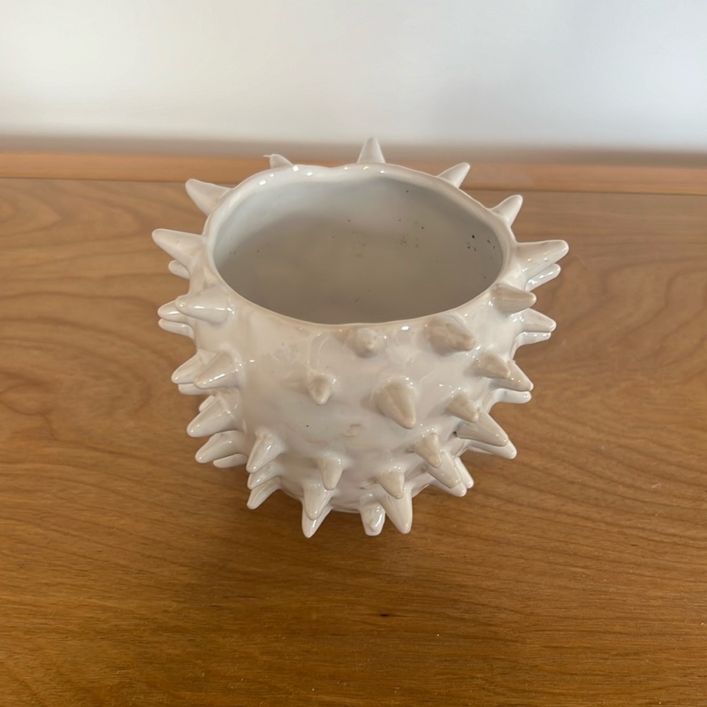 Small Plant Pot